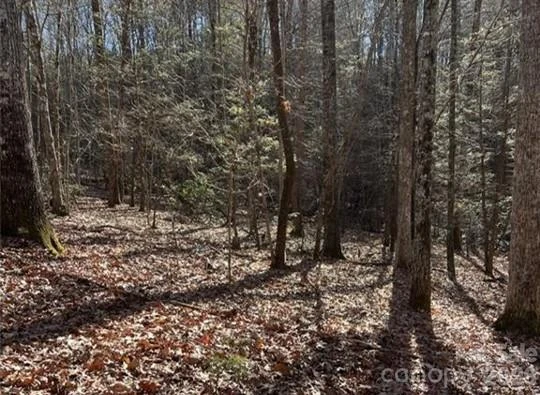 0 Twin Maple Way #5 - Photo 2