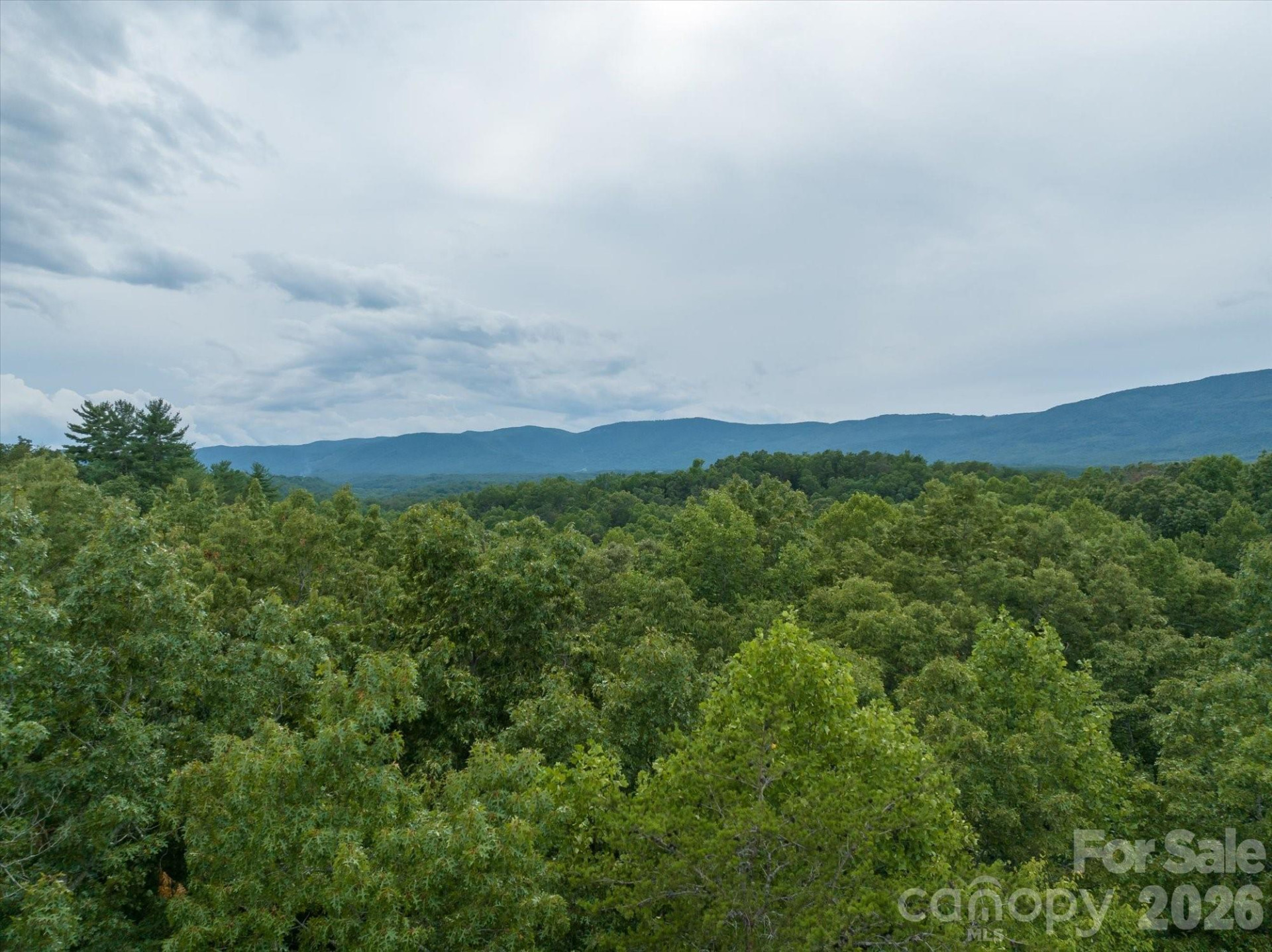 0 Twin Maple Way #5 - Photo 15