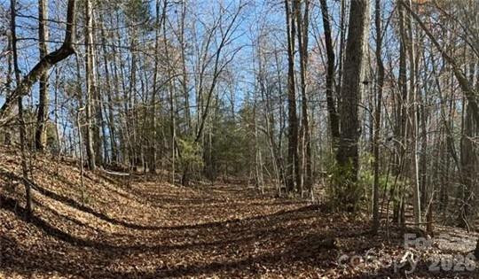 0 Twin Maple Way #5 - Photo 7