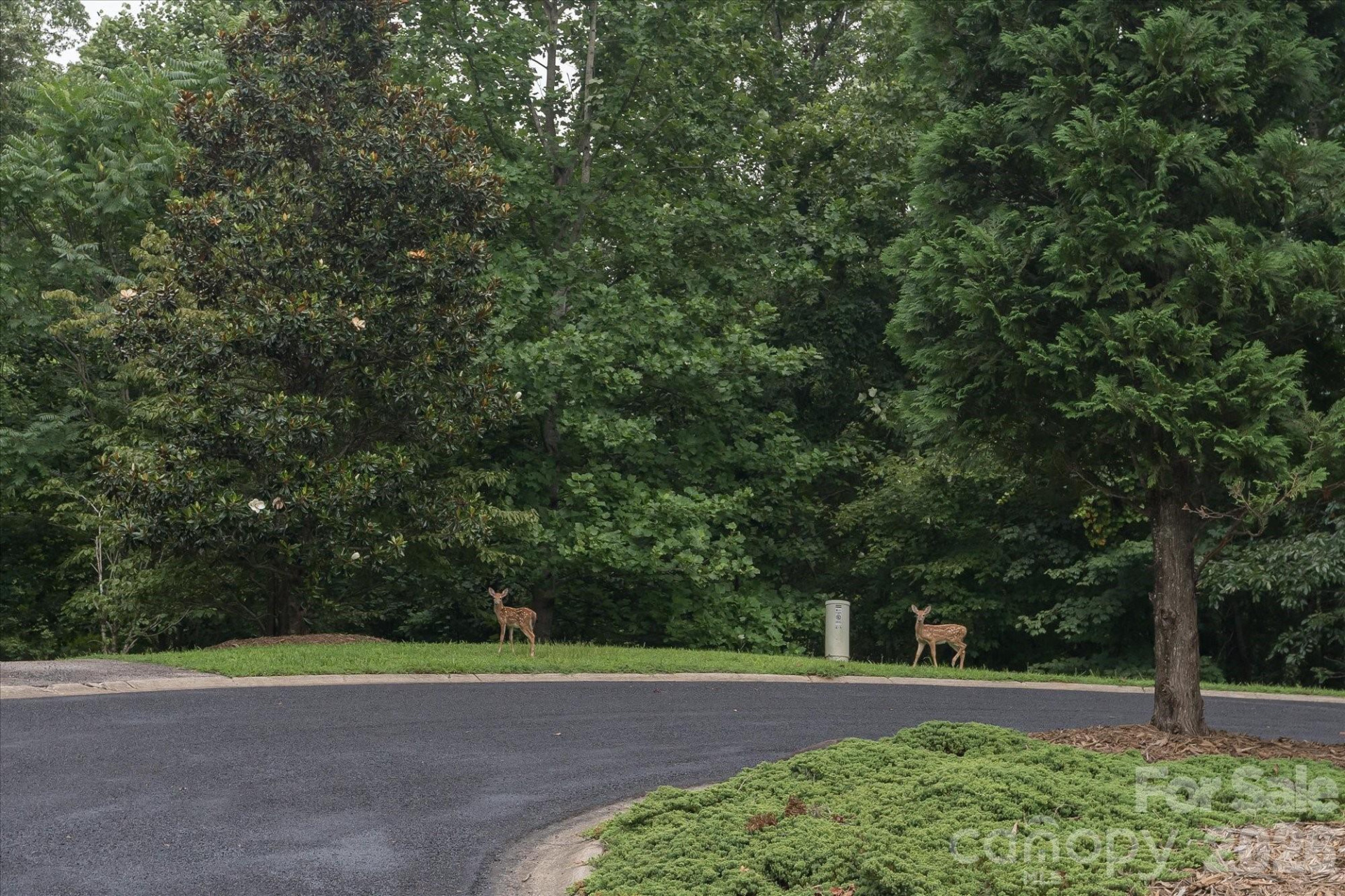 0 Twin Maple Way #5 - Photo 8