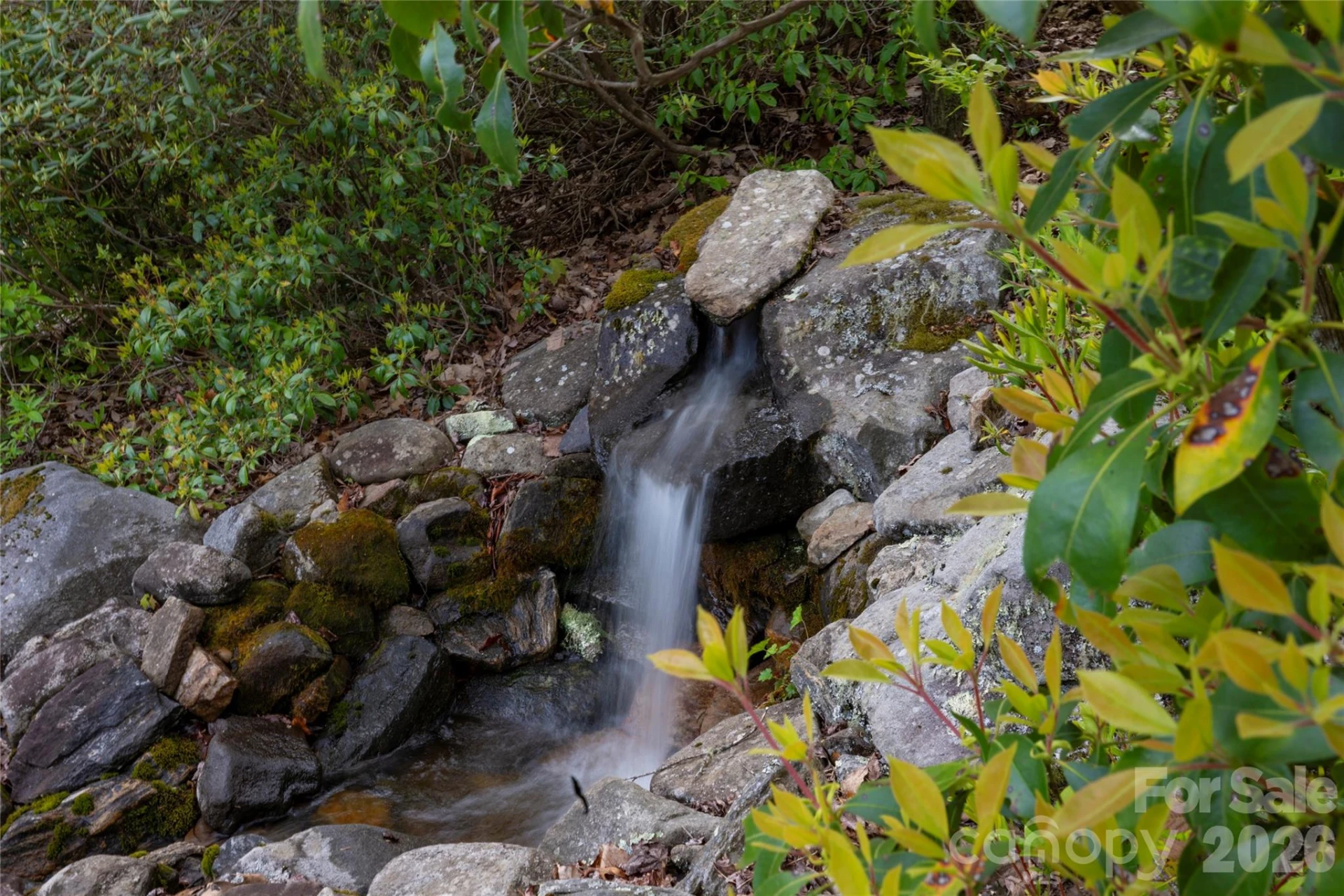 96 Moltz Court - Photo 44
