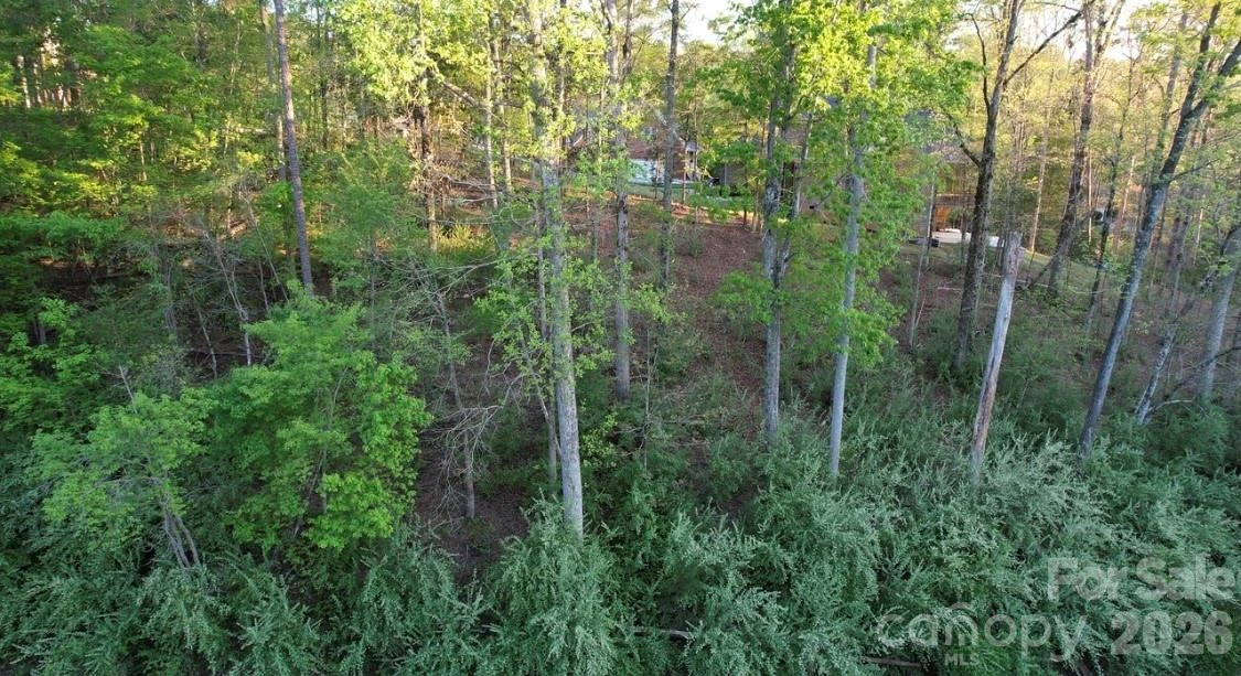 2409 Falling Leaf Court #69 - Photo 4