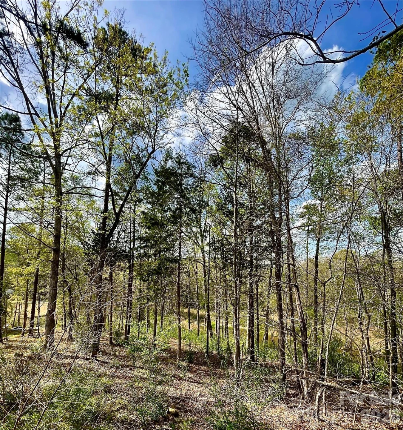 2409 Falling Leaf Court #69 - Photo 6