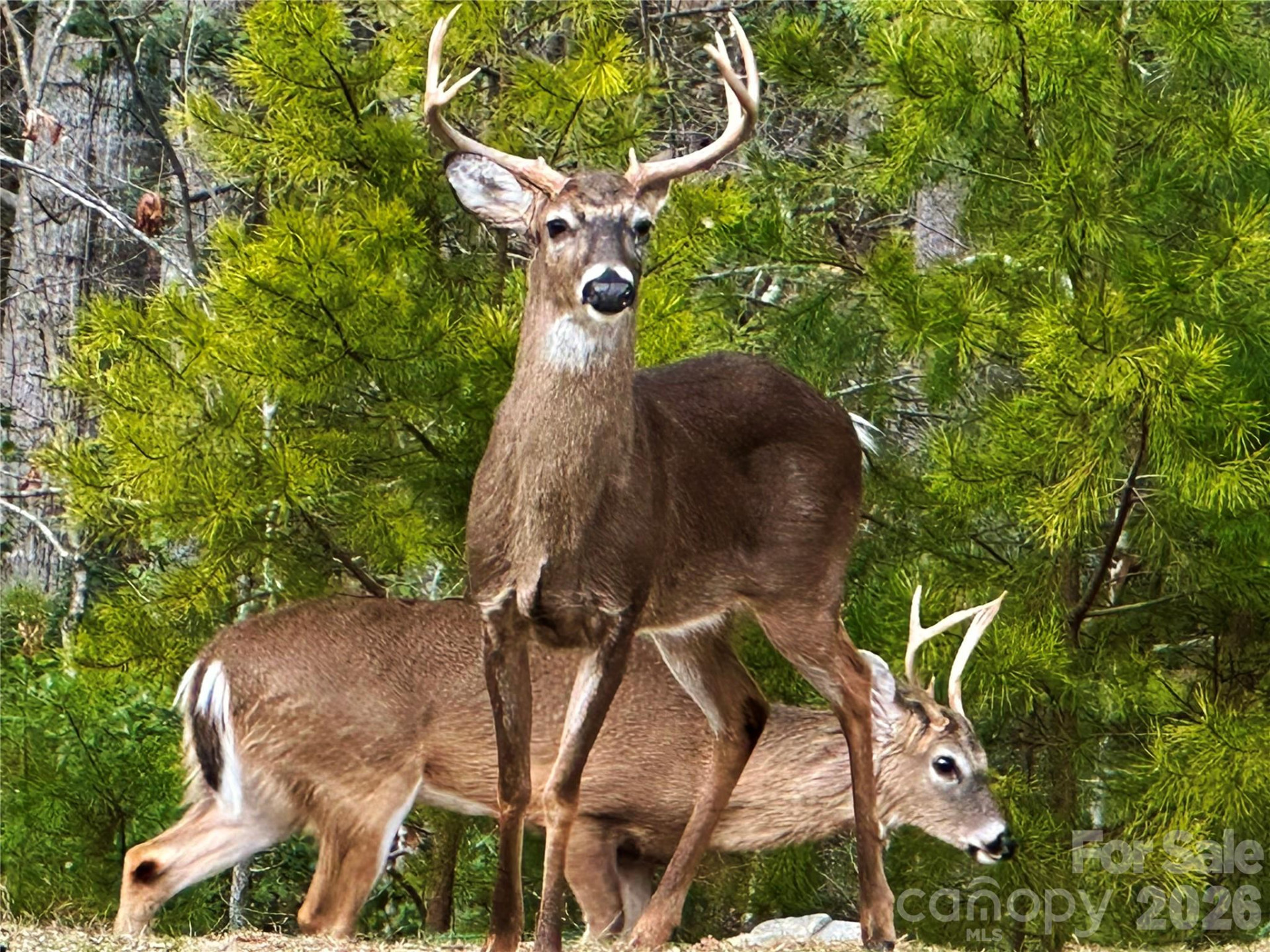 31 Cozy Cottage Way - Photo 31