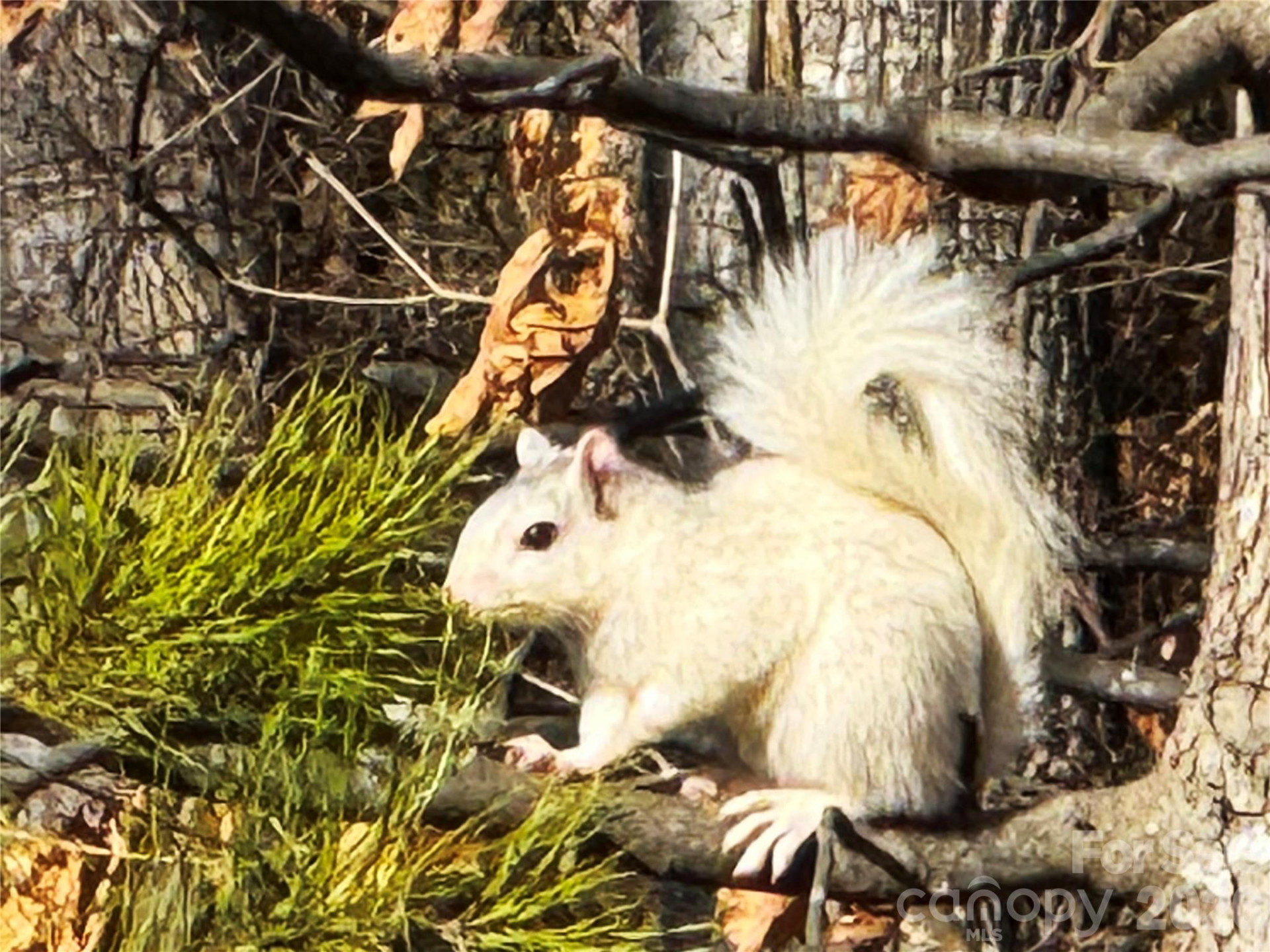 31 Cozy Cottage Way - Photo 32