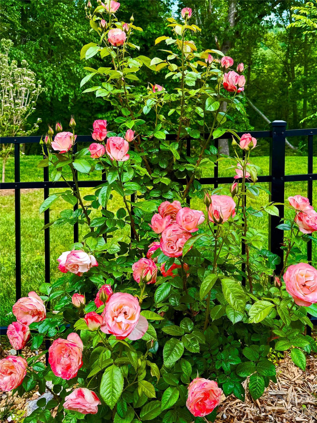 31 Cozy Cottage Way - Photo 33