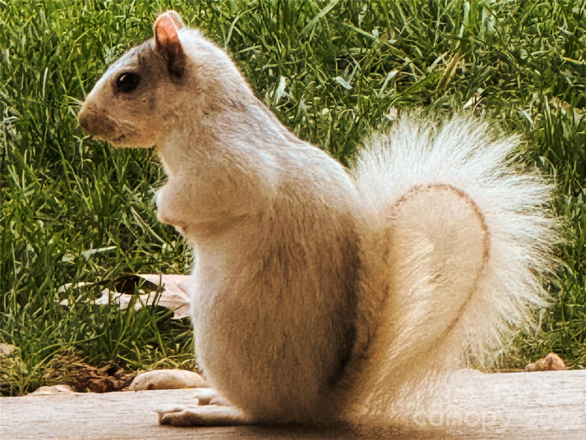 31 Cozy Cottage Way - Photo 35