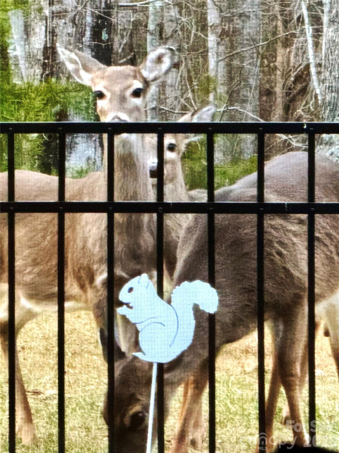 31 Cozy Cottage Way - Photo 36