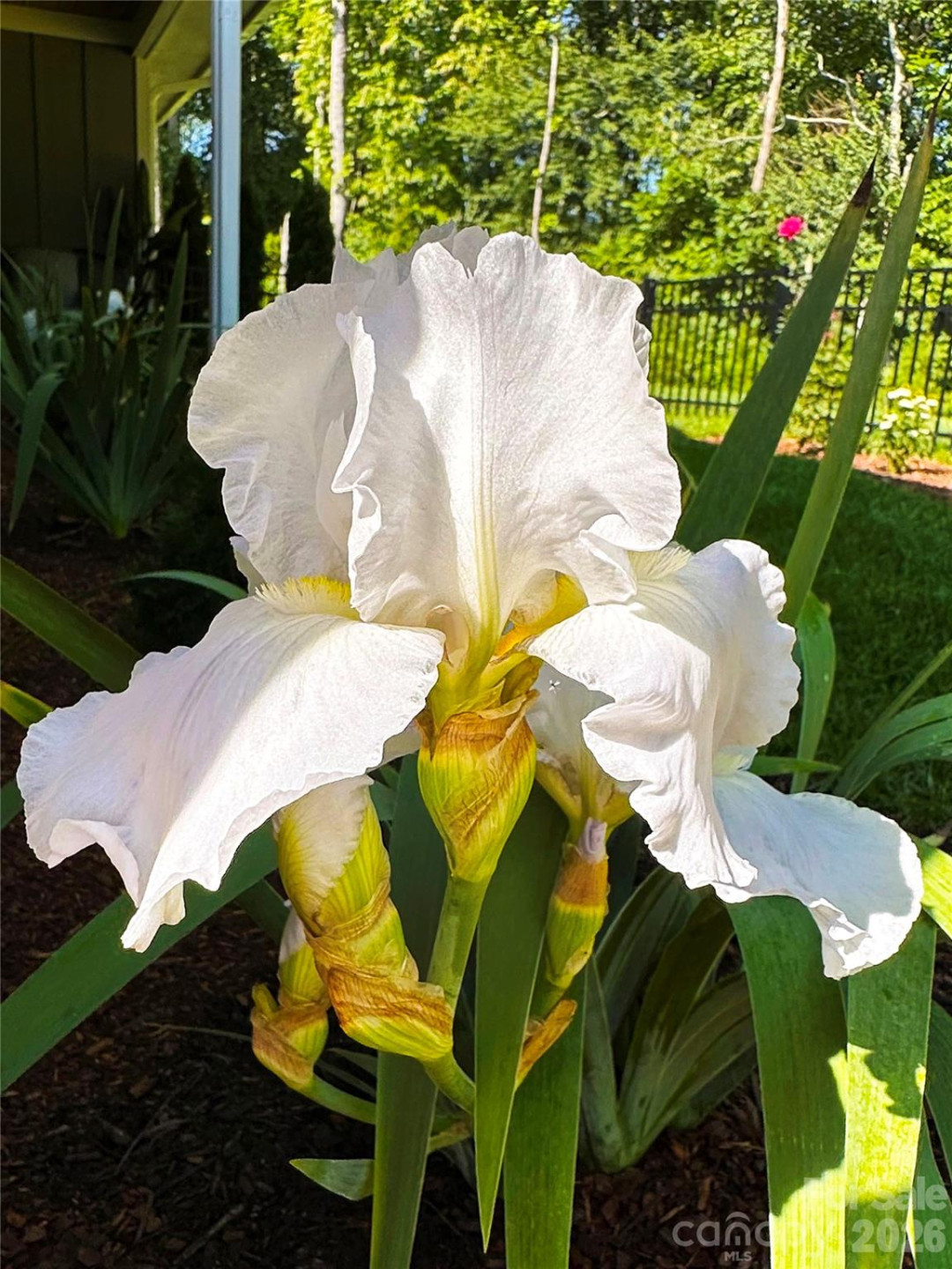 31 Cozy Cottage Way - Photo 37