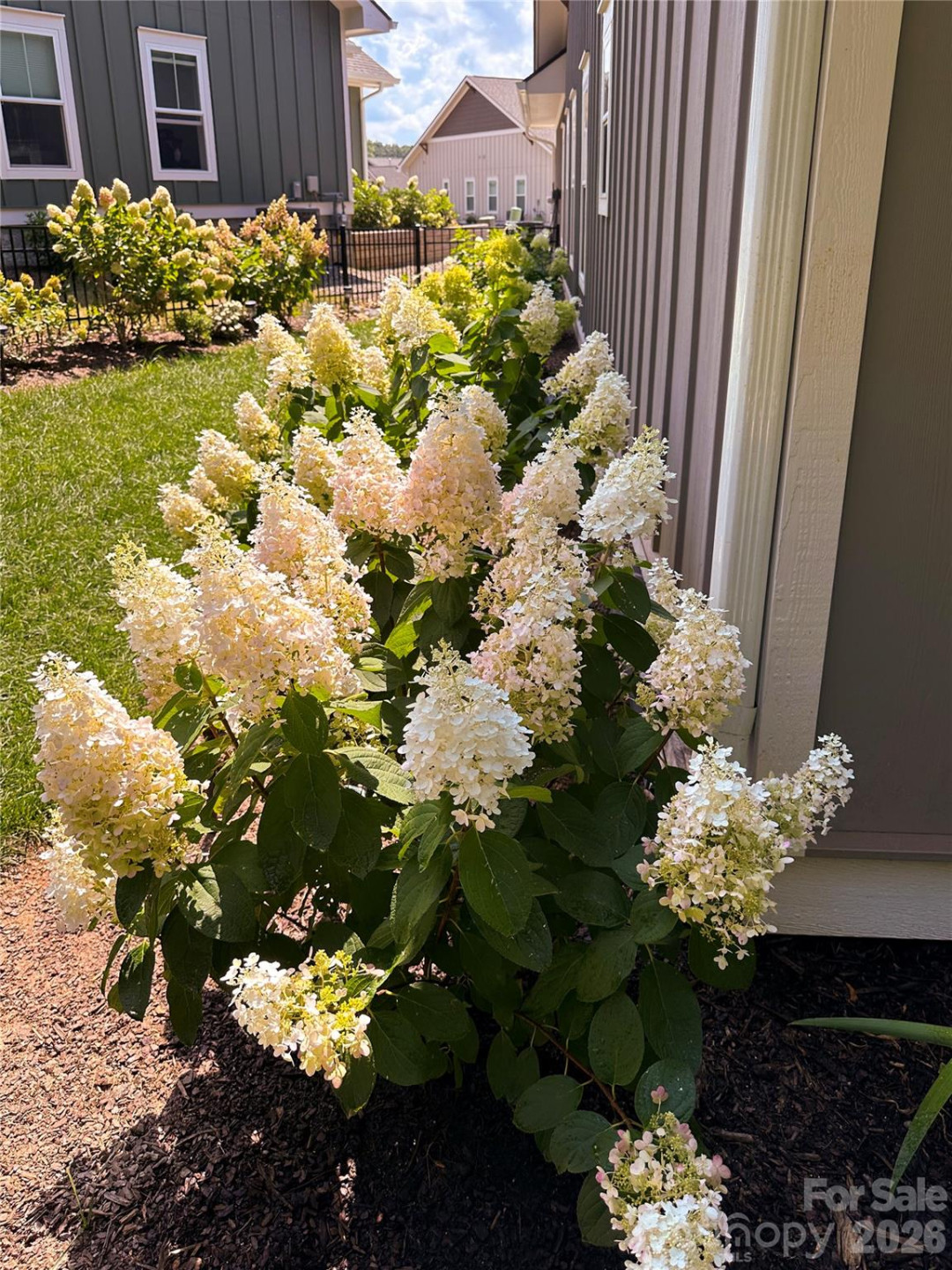 31 Cozy Cottage Way - Photo 39