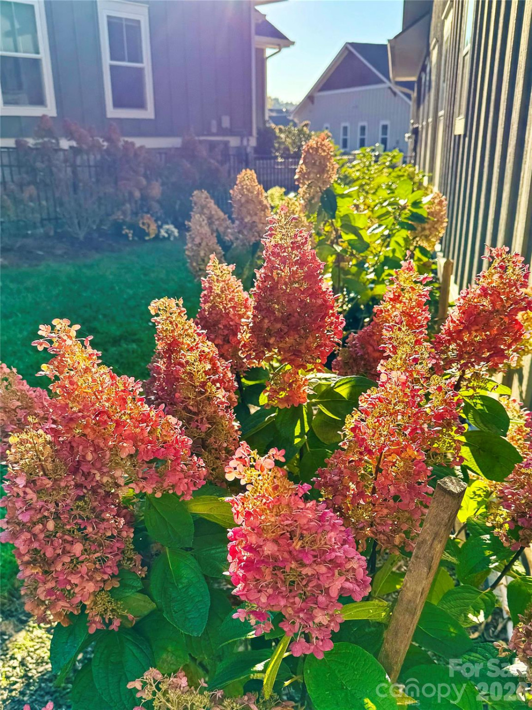 31 Cozy Cottage Way - Photo 40