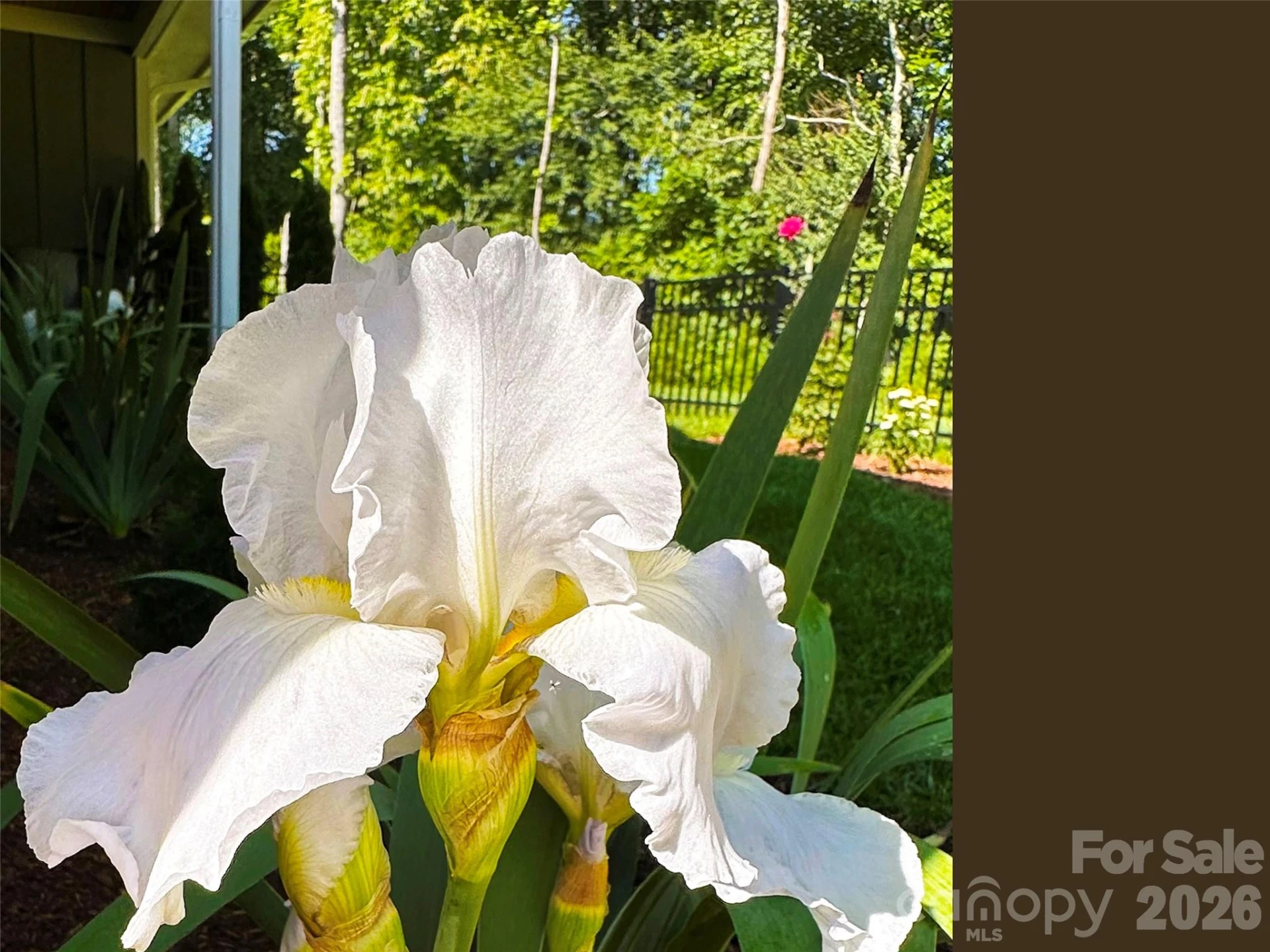 31 Cozy Cottage Way - Photo 44