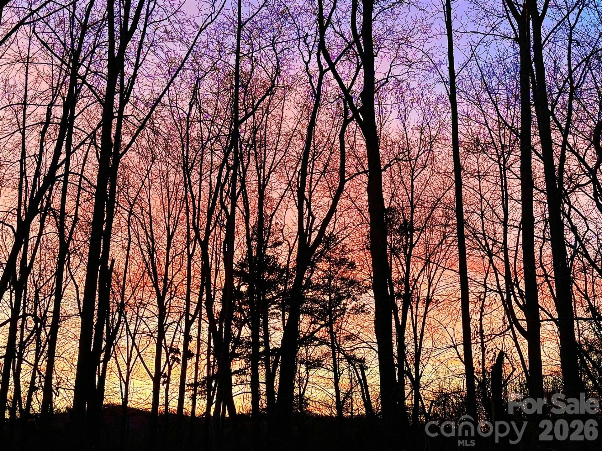 31 Cozy Cottage Way - Photo 45