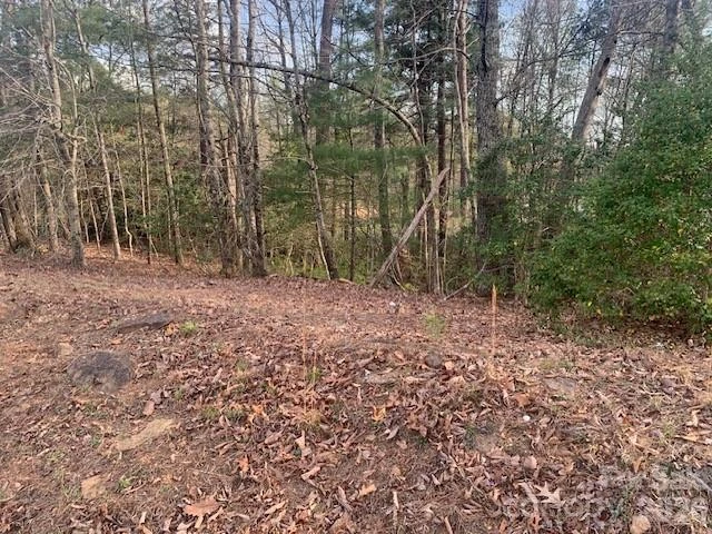 1.0AC HOLBERT COVE Road #2 - Photo 2