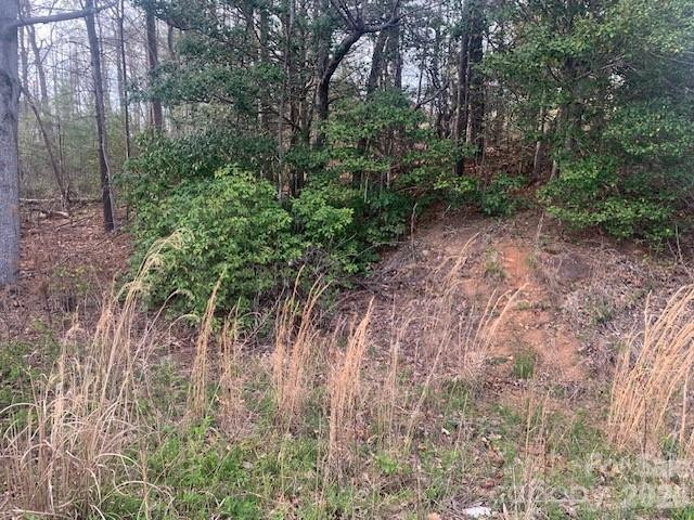 1.0AC HOLBERT COVE Road #2 - Photo 3