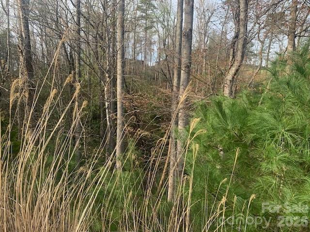 1.0AC HOLBERT COVE Road #2 - Photo 8