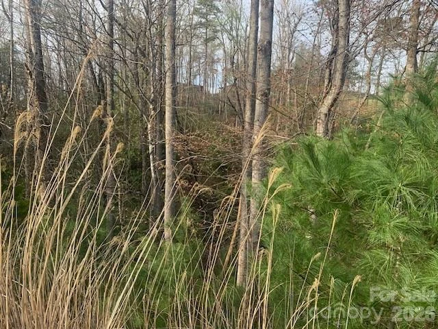1.0AC HOLBERT COVE Road #2 - Photo 8