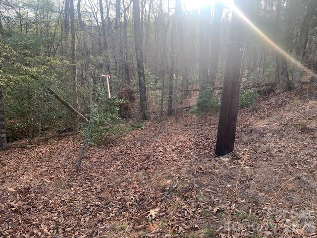 1.0AC HOLBERT COVE Road #2 - Photo 9