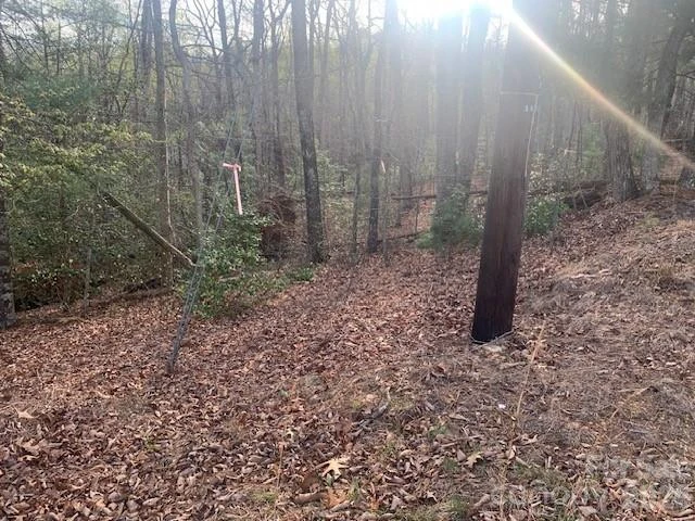 1.0AC HOLBERT COVE Road #2 - Photo 9