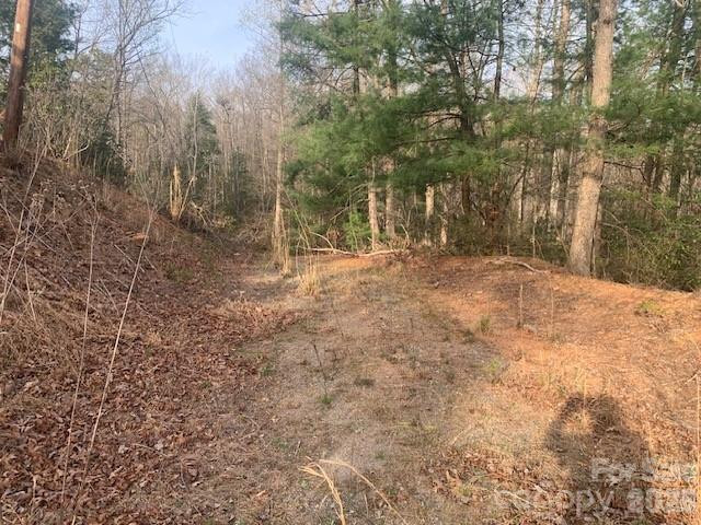7.67 AC. HOLBERT COVE Road #7.67 AC.