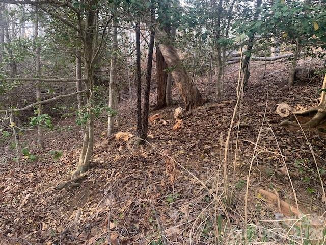 7.67 AC. HOLBERT COVE Road #7.67 AC. - Photo 2