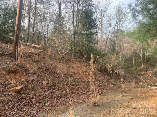 7.67 AC. HOLBERT COVE Road #7.67 AC. - Photo 11