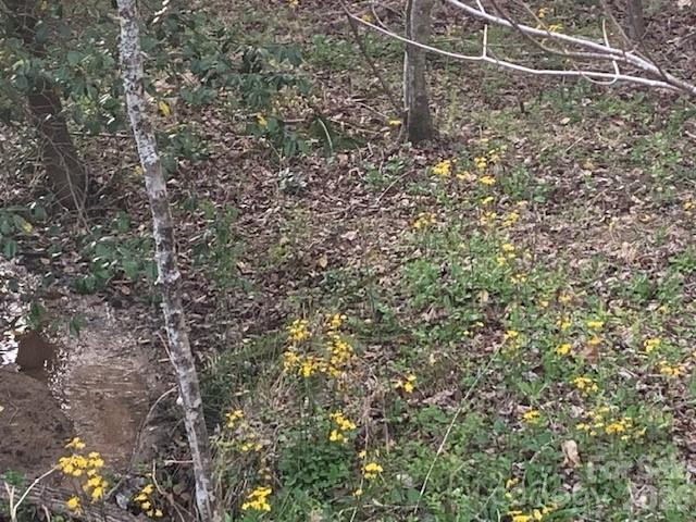 7.67 AC. HOLBERT COVE Road #7.67 AC. - Photo 13