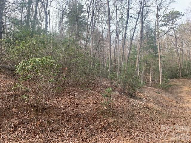 7.67 AC. HOLBERT COVE Road #7.67 AC. - Photo 16