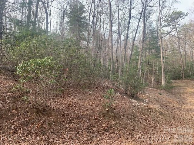 7.67 AC. HOLBERT COVE Road #7.67 AC. - Photo 16