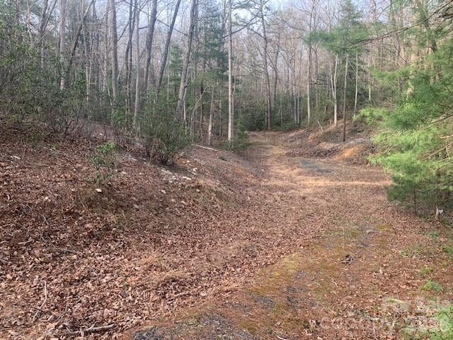 7.67 AC. HOLBERT COVE Road #7.67 AC. - Photo 17