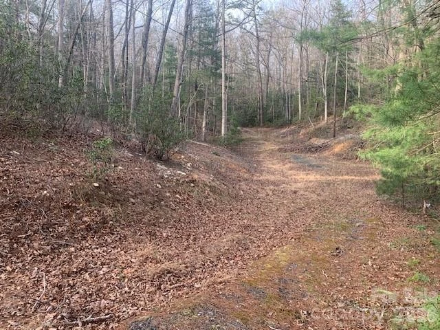 7.67 AC. HOLBERT COVE Road #7.67 AC. - Photo 17