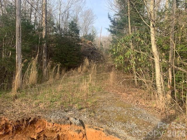 7.67 AC. HOLBERT COVE Road #7.67 AC. - Photo 3