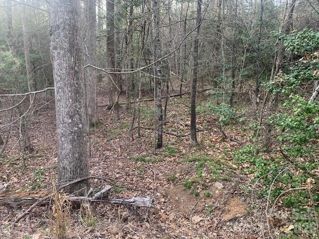 7.67 AC. HOLBERT COVE Road #7.67 AC. - Photo 6