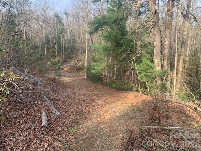 7.67 AC. HOLBERT COVE Road #7.67 AC. - Photo 10