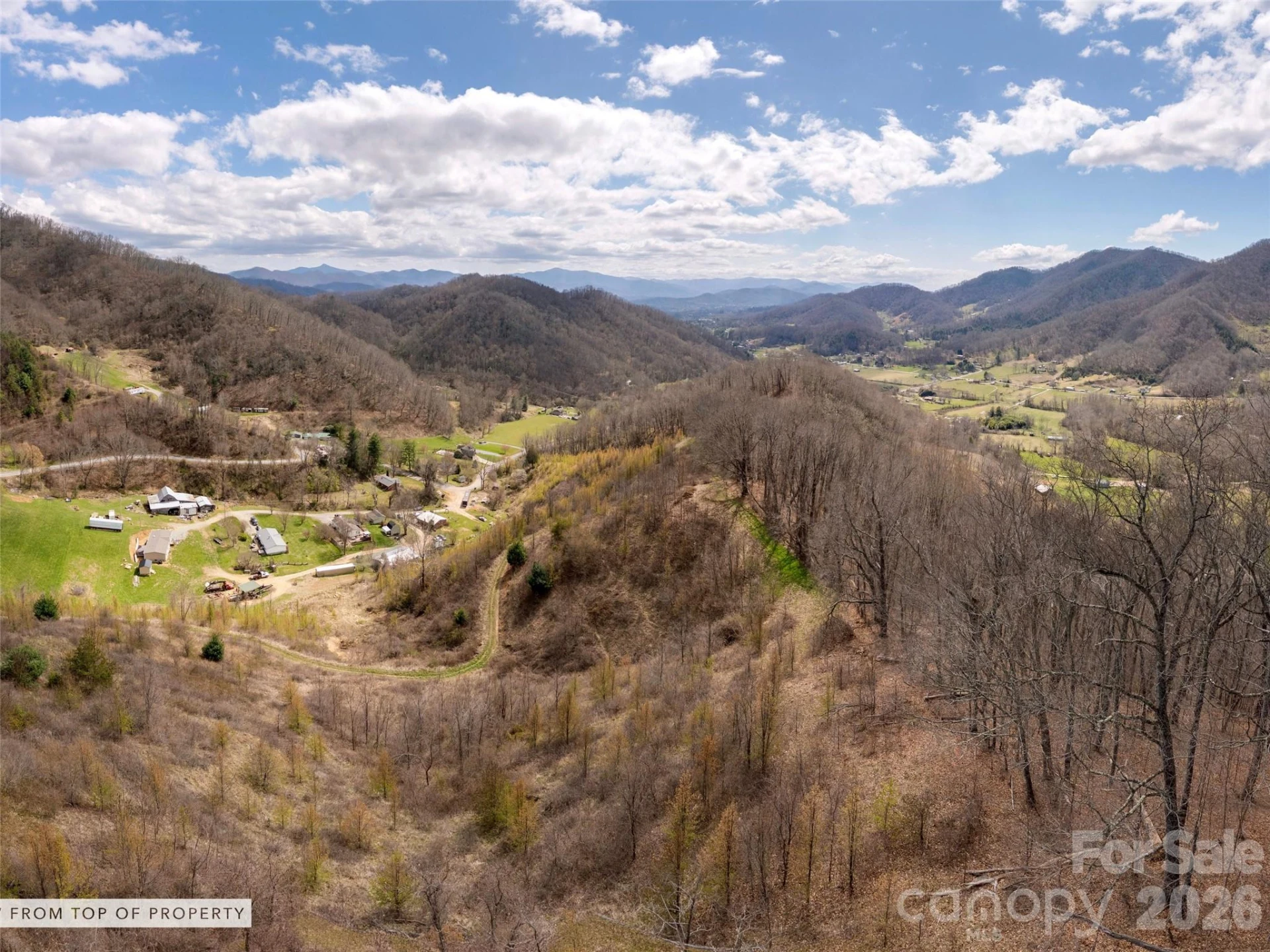 TBD Wilson Cove Road - Photo 2