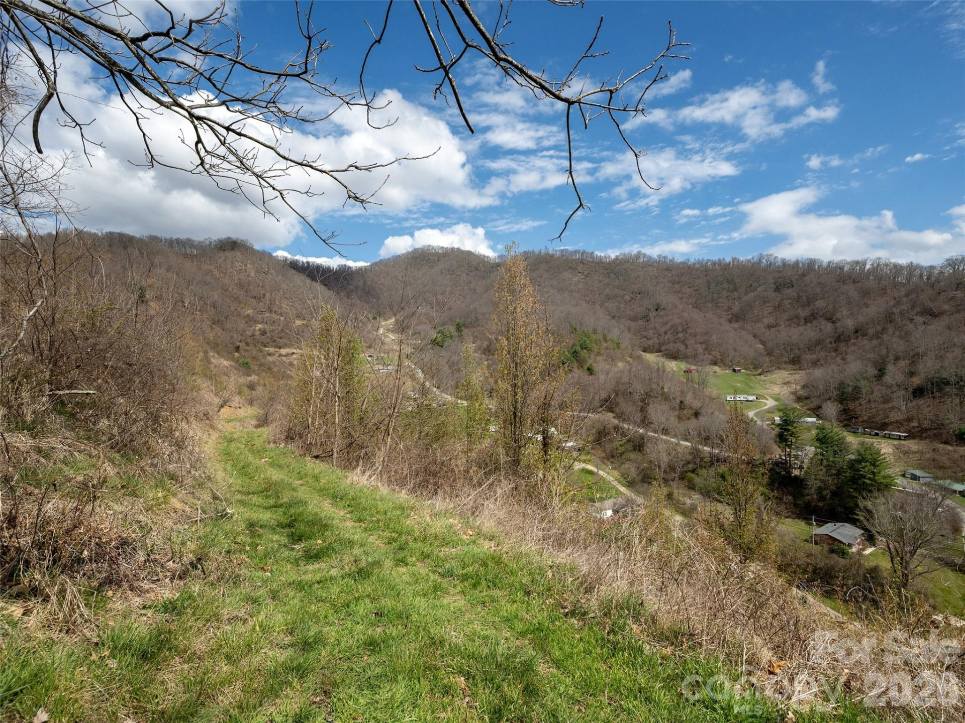 TBD Wilson Cove Road - Photo 11