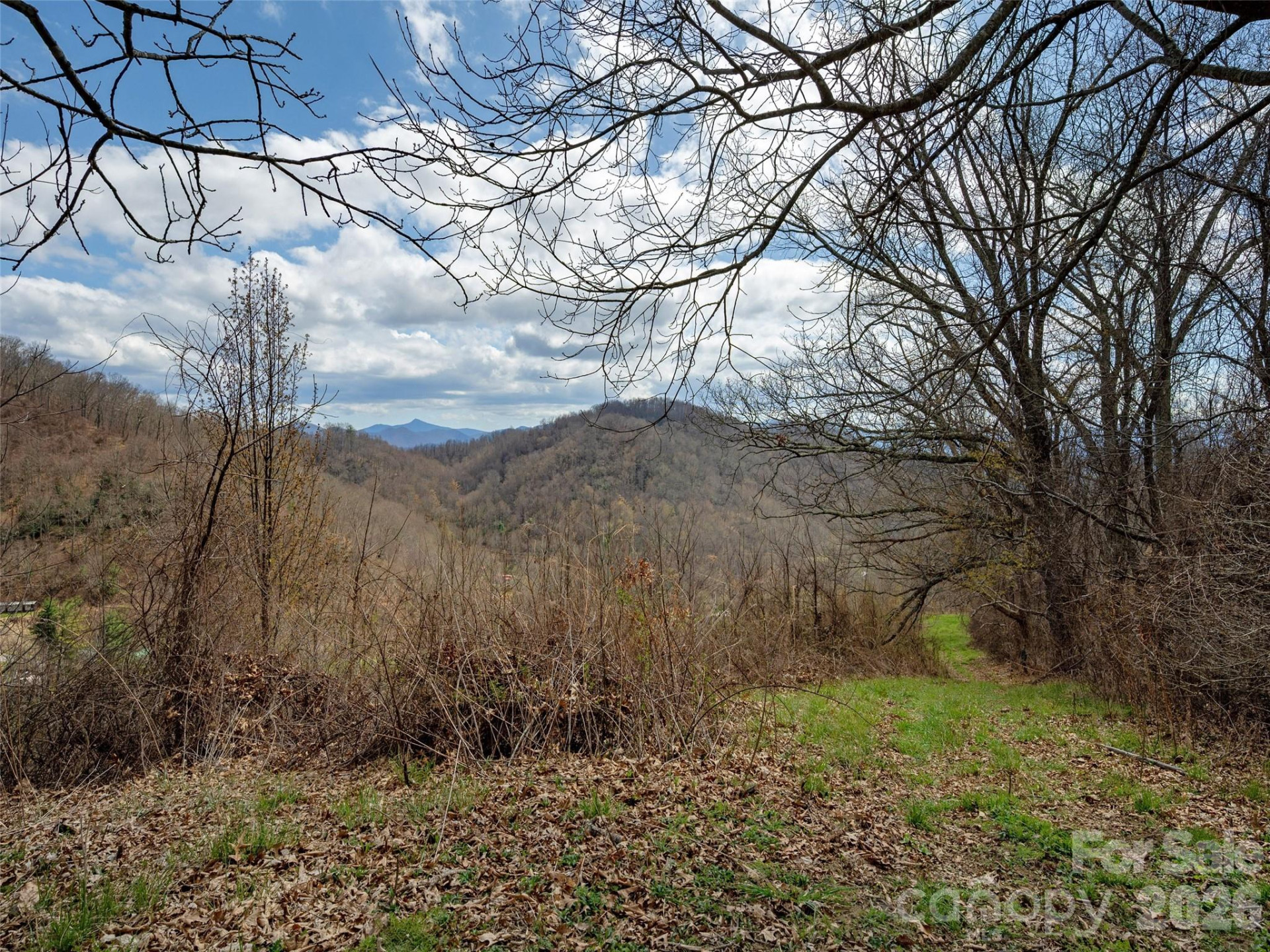 TBD Wilson Cove Road - Photo 12