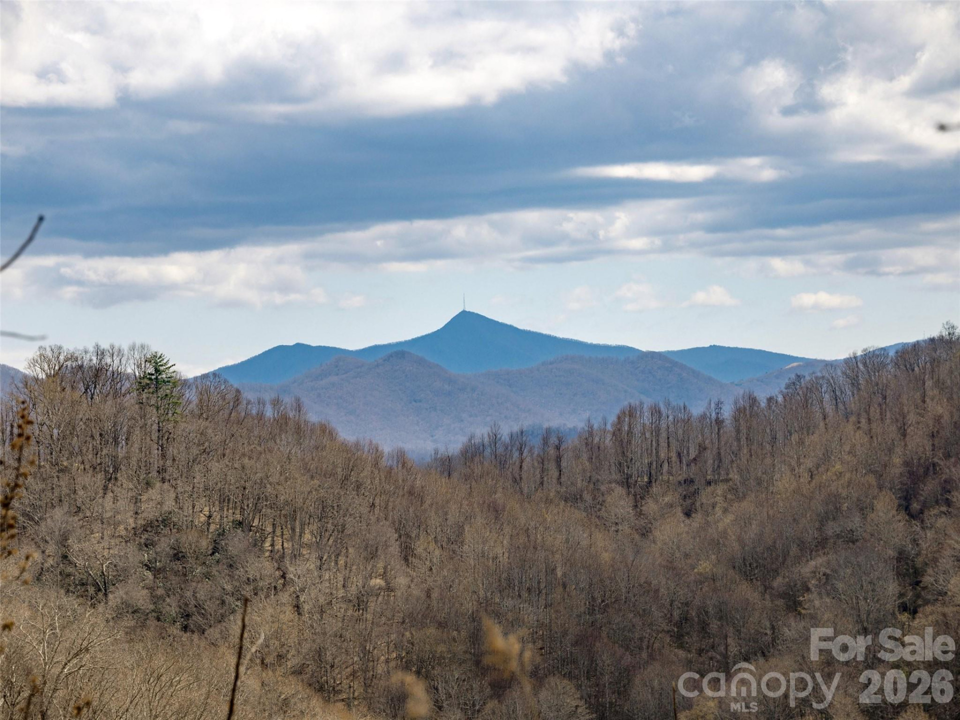 TBD Wilson Cove Road - Photo 13