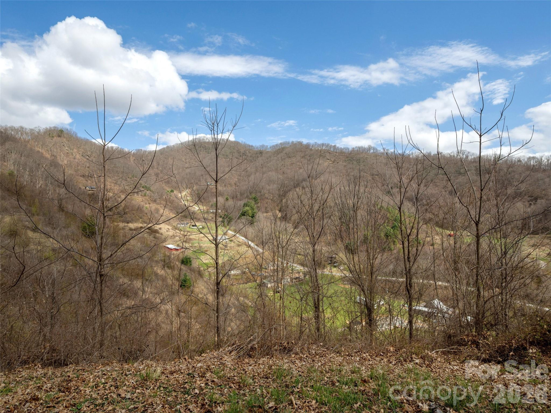 TBD Wilson Cove Road - Photo 14