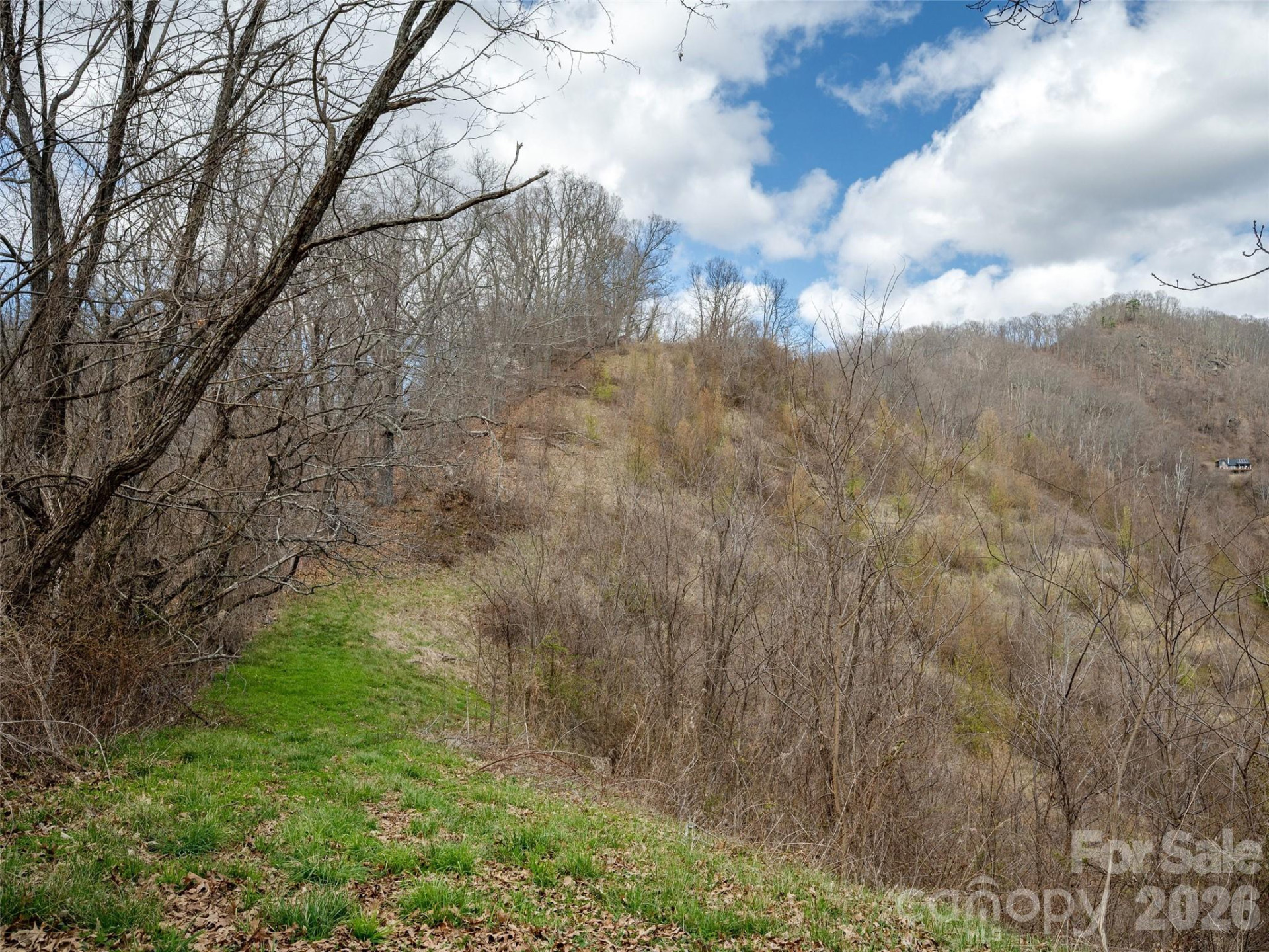 TBD Wilson Cove Road - Photo 15