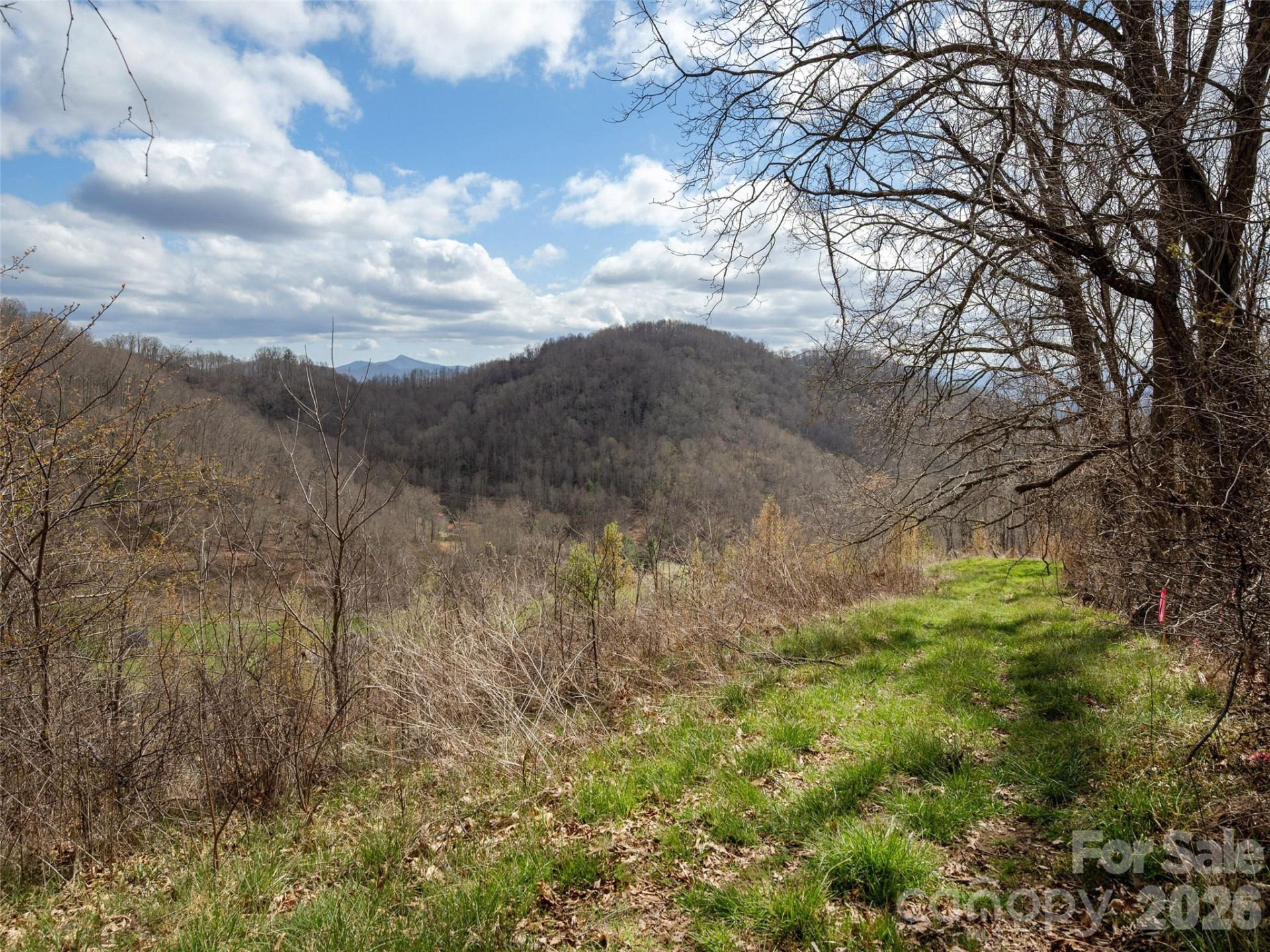 TBD Wilson Cove Road - Photo 16