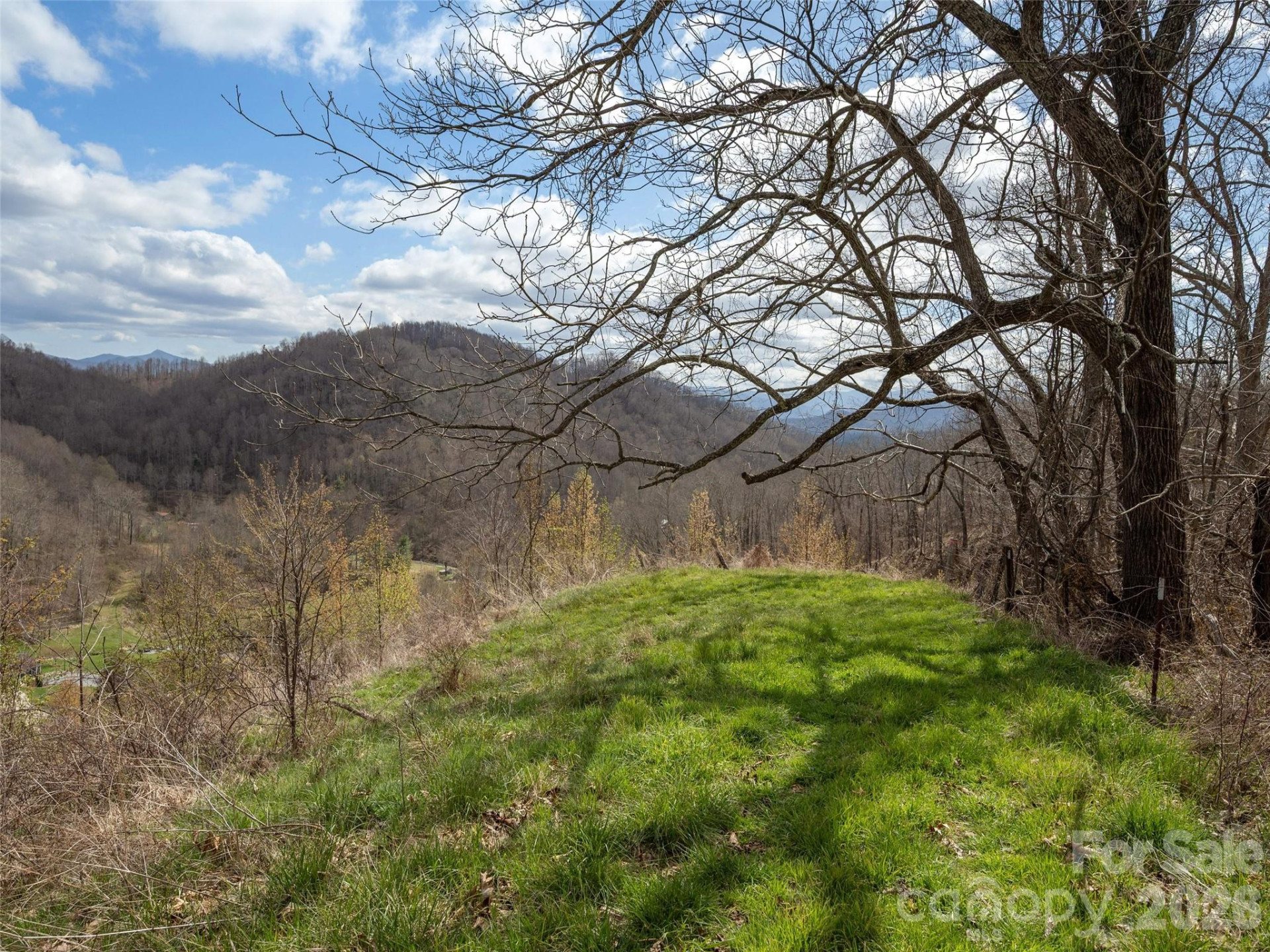 TBD Wilson Cove Road - Photo 17