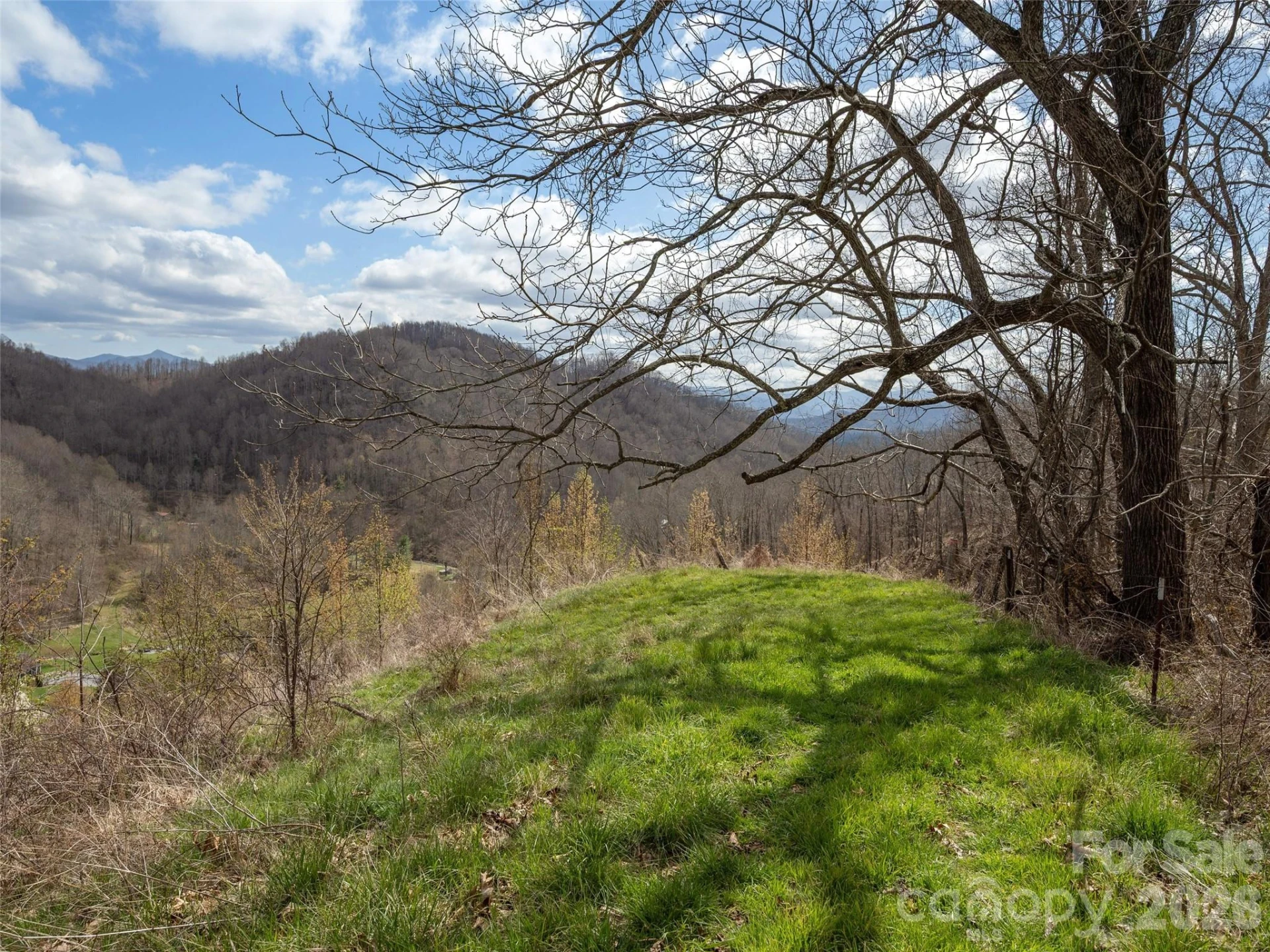 TBD Wilson Cove Road - Photo 17