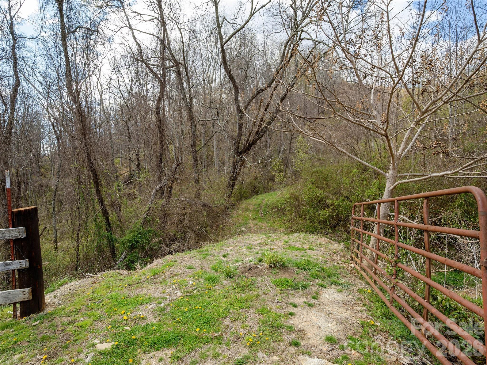 TBD Wilson Cove Road - Photo 18