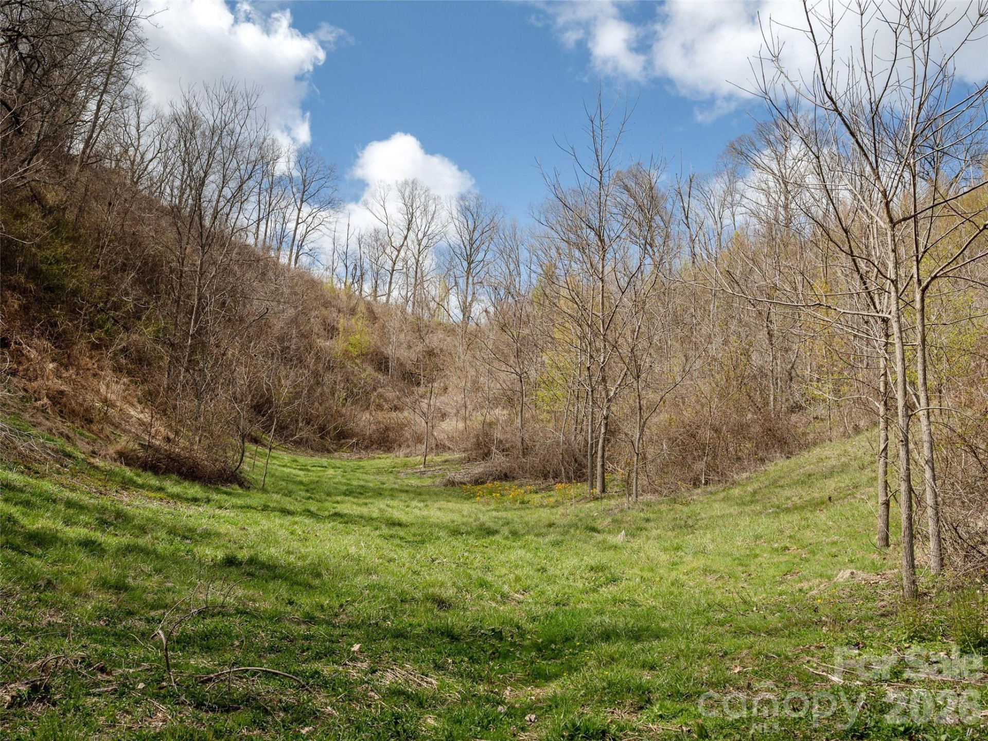 TBD Wilson Cove Road - Photo 19