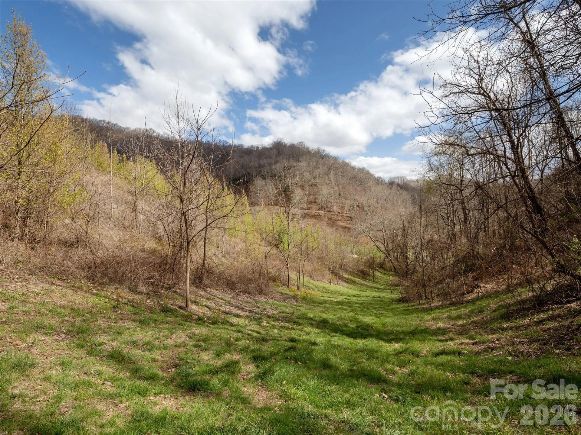 TBD Wilson Cove Road - Photo 20