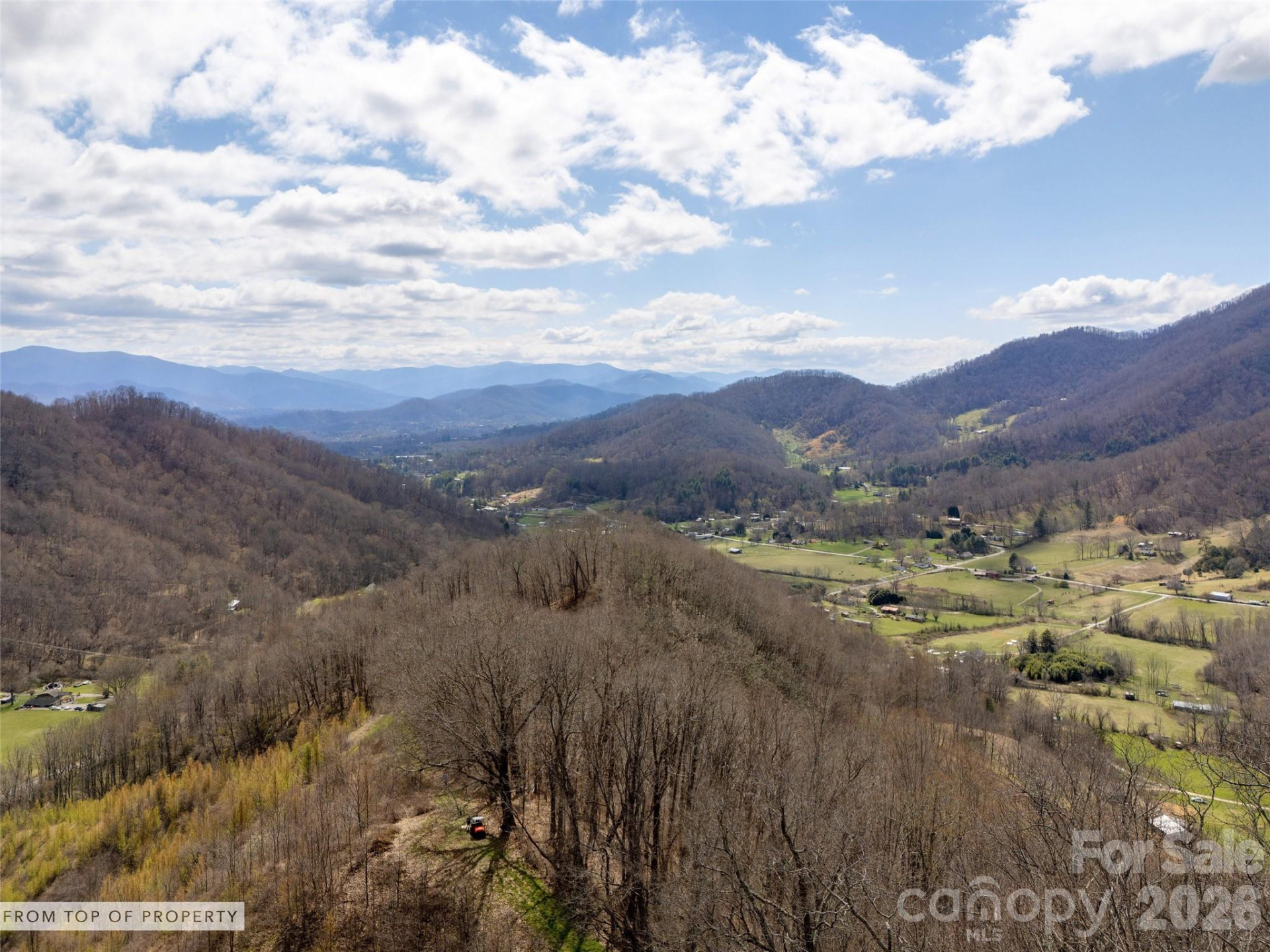 TBD Wilson Cove Road - Photo 4