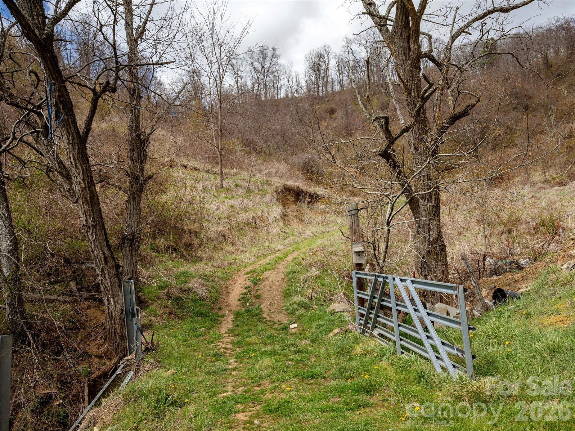 TBD Wilson Cove Road - Photo 5