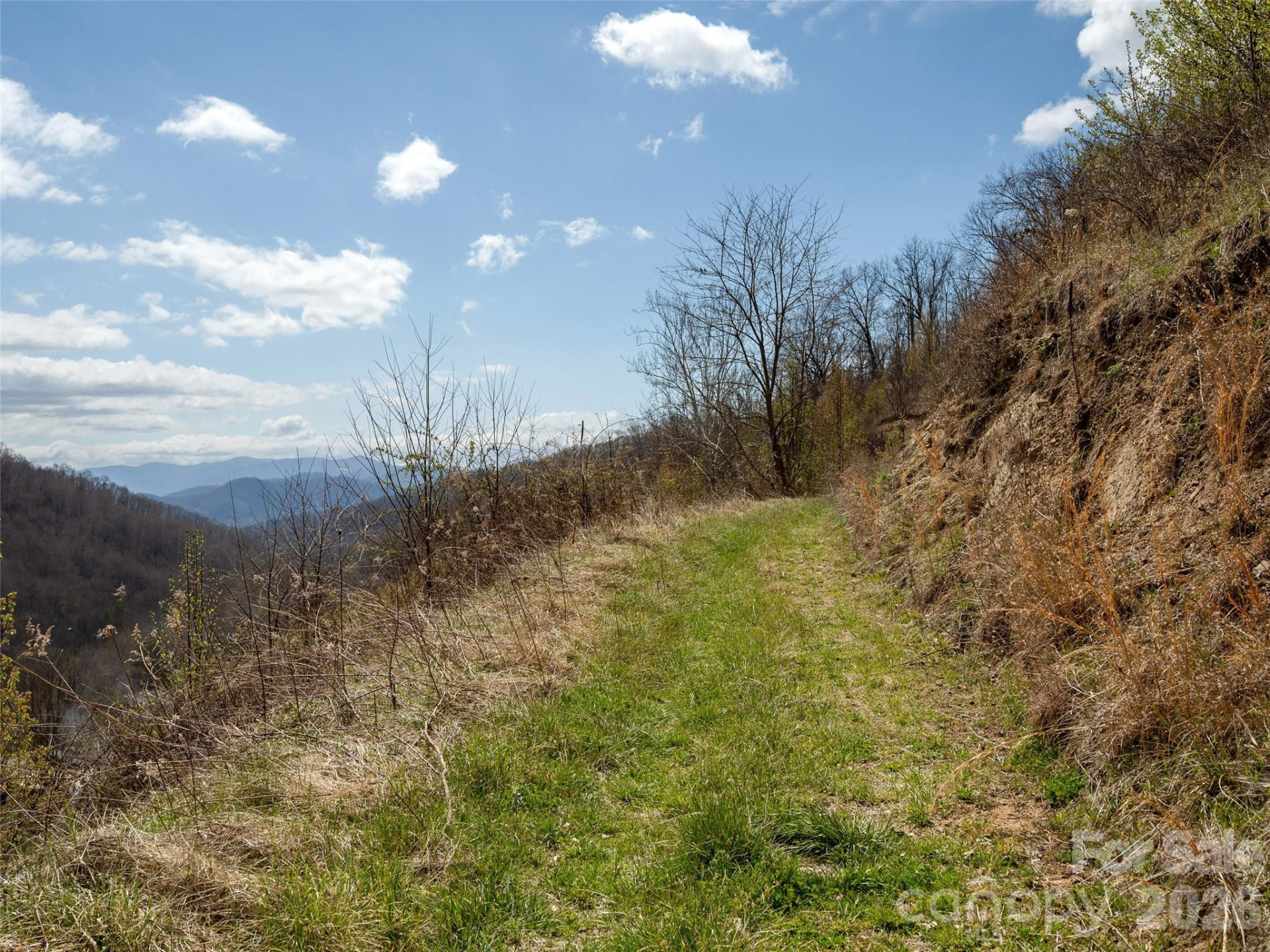 TBD Wilson Cove Road - Photo 6