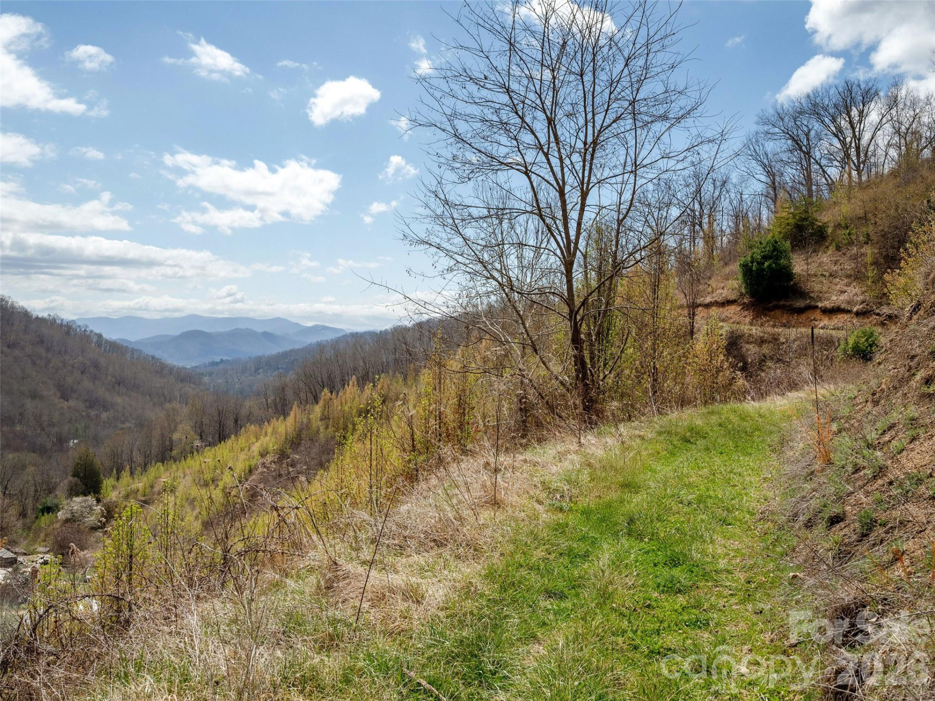 TBD Wilson Cove Road - Photo 7